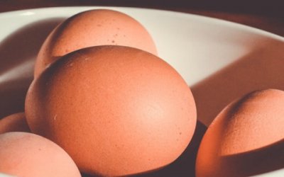 Klątwa alergii na jajka: labirynt między sklepowymi półkami